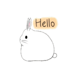 Are u a rabbit con？（個別スタンプ：1）