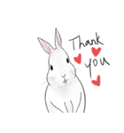 Are u a rabbit con？（個別スタンプ：5）