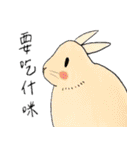 Are u a rabbit con？（個別スタンプ：15）