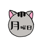 ねこちゃんスケジュール～月＆曜日～（個別スタンプ：14）