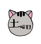 ねこちゃんスケジュール～月＆曜日～（個別スタンプ：19）