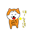 柴犬 しばやん (犬)（個別スタンプ：35）