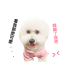 baby dog 3（個別スタンプ：3）