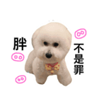 baby dog 3（個別スタンプ：13）