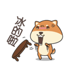 chestnut Shiba（個別スタンプ：5）