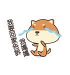 chestnut Shiba（個別スタンプ：7）