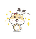 chestnut Shiba（個別スタンプ：13）