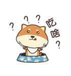 chestnut Shiba（個別スタンプ：14）