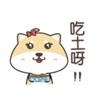 chestnut Shiba（個別スタンプ：15）