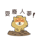 chestnut Shiba（個別スタンプ：16）