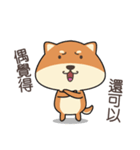 chestnut Shiba（個別スタンプ：19）