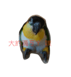 parrots usual lll（個別スタンプ：12）