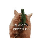 猫と爬虫類（個別スタンプ：1）