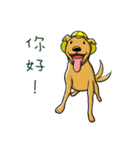 WunDe Beanbean（個別スタンプ：1）