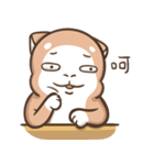 Multiple personality cat（個別スタンプ：4）