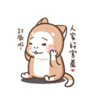 Multiple personality cat（個別スタンプ：11）