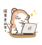 Multiple personality cat（個別スタンプ：19）