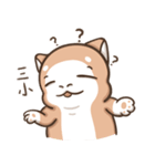 Multiple personality cat（個別スタンプ：20）