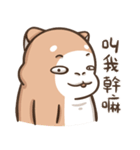 Multiple personality cat（個別スタンプ：26）