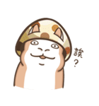 Multiple personality cat（個別スタンプ：36）