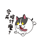 rolling ！ animal ！（個別スタンプ：14）