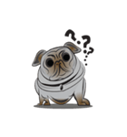 Pug Naughty（個別スタンプ：1）