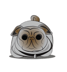 Pug Naughty（個別スタンプ：4）