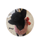 love coco！（個別スタンプ：7）