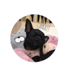 love coco！（個別スタンプ：10）