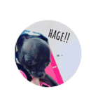 love coco！（個別スタンプ：14）