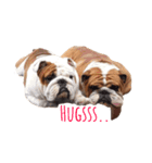 House_of_bulldogs Bangkok Thailand（個別スタンプ：7）