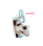 Aprill（個別スタンプ：6）