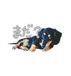 るくにゃん！（個別スタンプ：4）