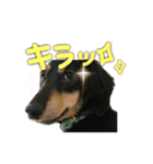 るくにゃん！（個別スタンプ：12）