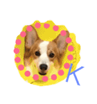 Corgi DoDo Cute emoticons（個別スタンプ：35）