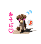 toy poodle with k and m（個別スタンプ：16）