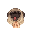 Call me pug！（個別スタンプ：9）