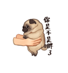 Call me pug！（個別スタンプ：11）