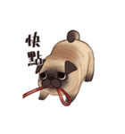 Call me pug！（個別スタンプ：18）