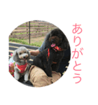 犬猫スタンプ 日常（個別スタンプ：8）