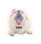 University daily（個別スタンプ：24）