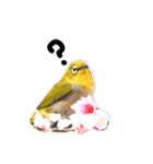 bird thing（個別スタンプ：5）