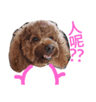 Cutebabydog（個別スタンプ：14）