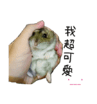 murmur hamsters（個別スタンプ：9）