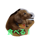 ちょこ8888（個別スタンプ：5）
