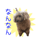 KUWAdogfamily（個別スタンプ：4）