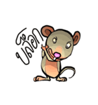 Rat Animation（個別スタンプ：10）