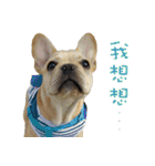 French Bulldog Fatty（個別スタンプ：2）