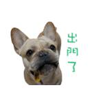 French Bulldog Fatty（個別スタンプ：4）