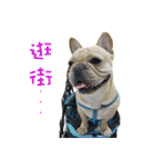 French Bulldog Fatty（個別スタンプ：11）